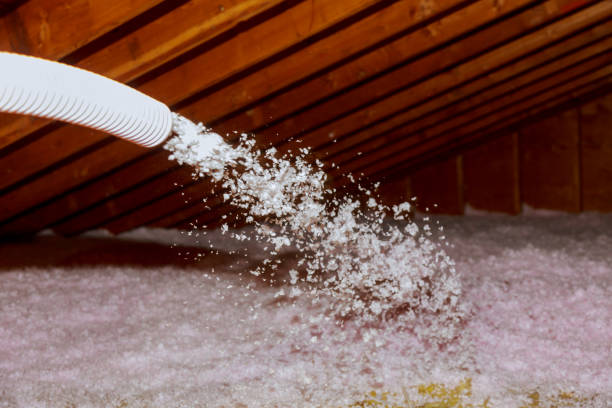 Types of Insulation We Offer in Skyline Ganipa, NM