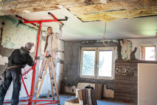 Best Specialized Insulation Services in Skyline Ganipa, NM