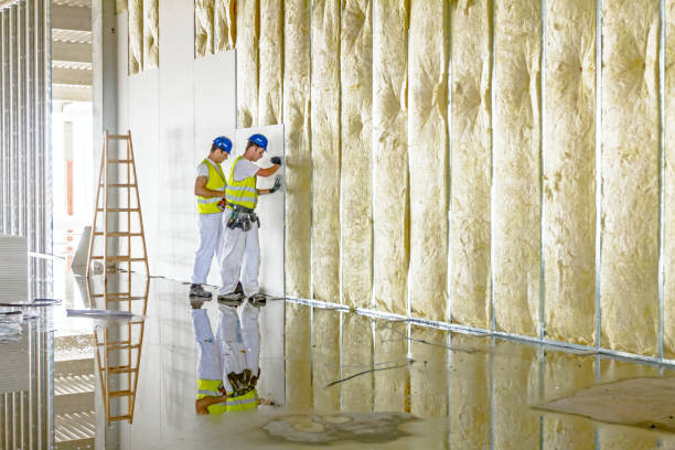 Best Fiberglass Insulation in Skyline Ganipa, NM